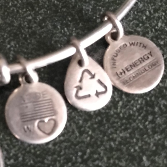Alex and Ani Expandable Wire Bracelet Disney 2015 - Picture 12 of 16